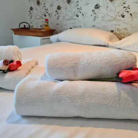 巴塞罗那四季菲拉格兰街公寓 公寓 *